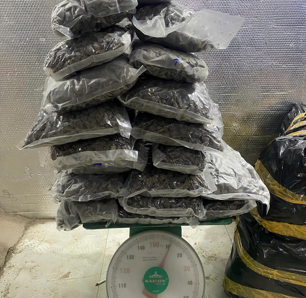 Số lượng cần sa lực lượng công an thu giữ. Ảnh: CV.