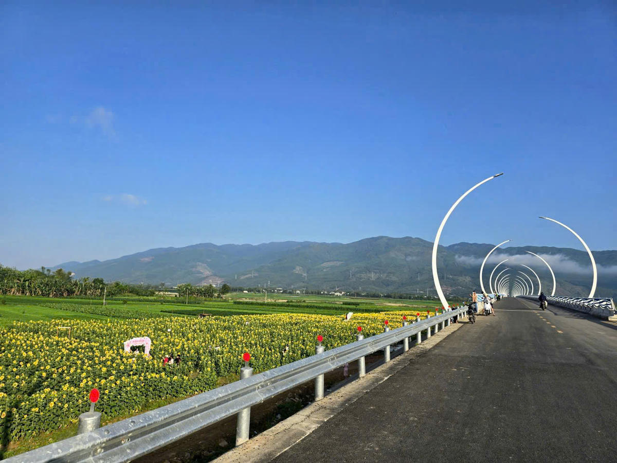 Một góc cánh đồng hoa hướng dương ở thôn&nbsp;Lâm Yên. Ảnh: CV.