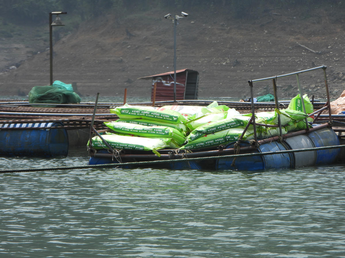 Các lồng bè nuôi cá trái phép tồn tại trước sự bức xúc của bà con thôn Séo Mý Tỷ.