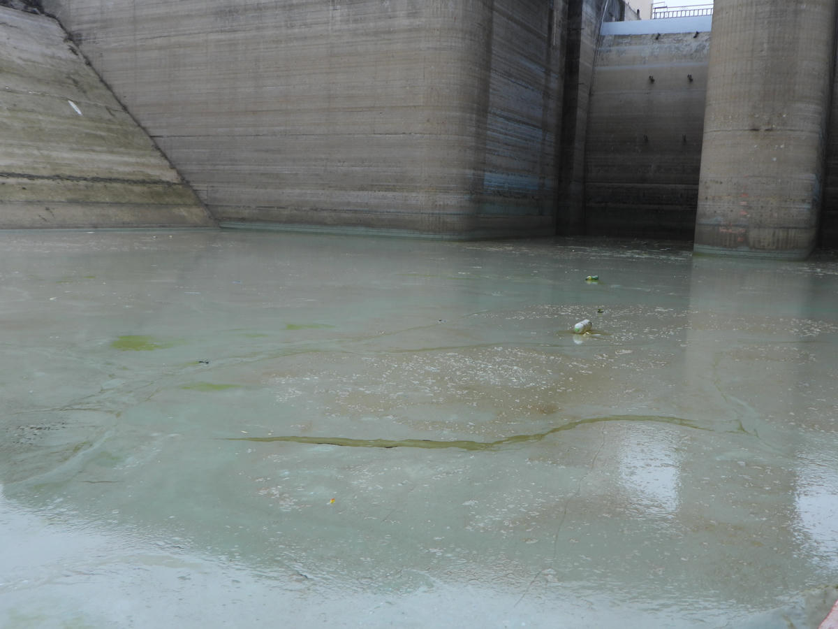 Nhiều khu vực hồ Séo Mý Tỷ có dòng nước đặc quánh, bốc mùi hôi nồng nặc.