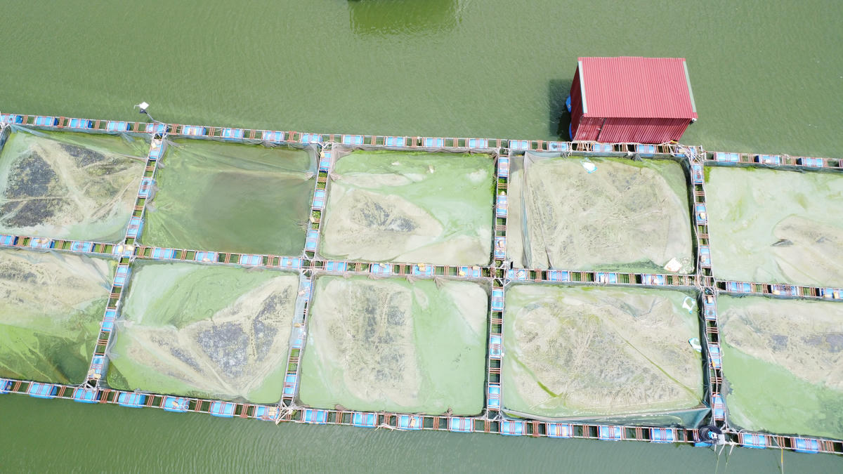 Bao giờ Séo Mý Tỷ mới lại là 'Viên ngọc xanh' giữa đại ngàn Tây Bắc?