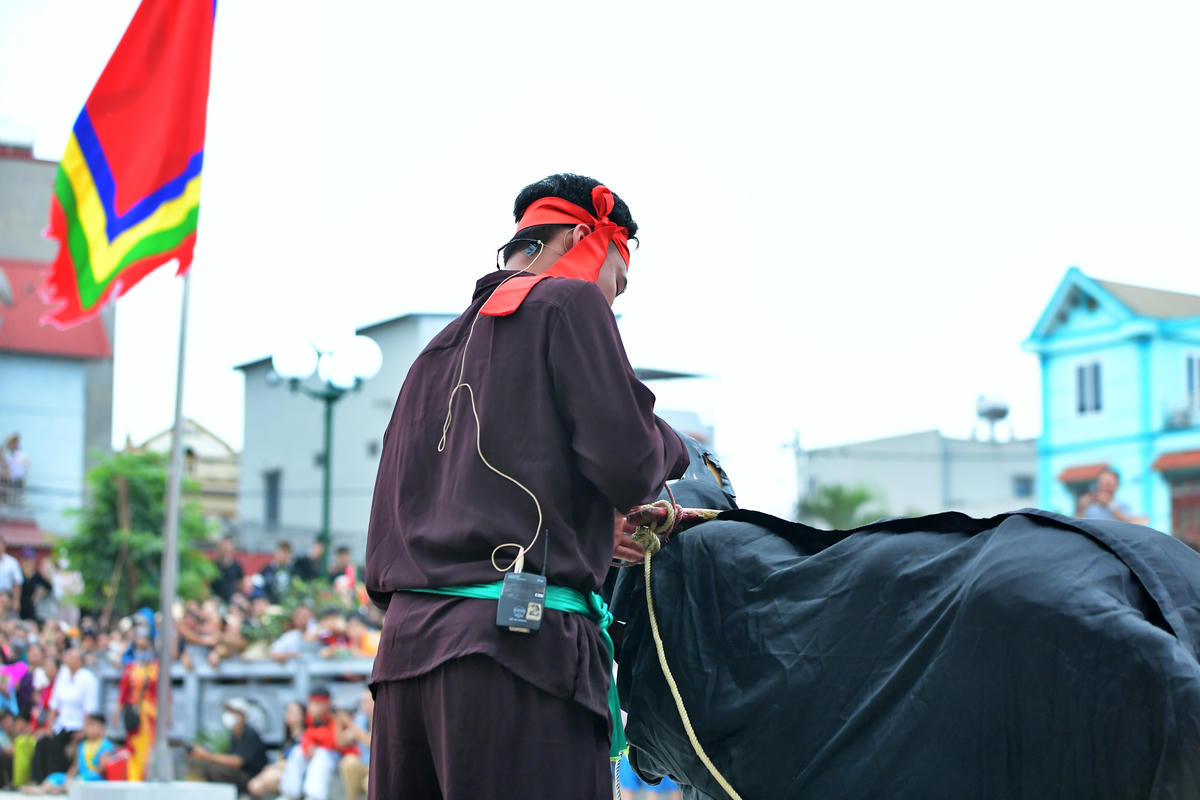 Hai chàng trai thể hiện kỹ năng thuần thục, khi buộc dây vào cổ trâu.