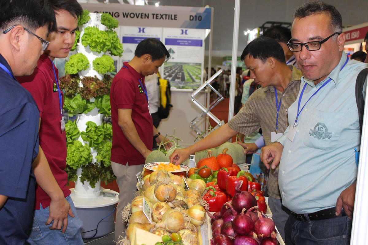 Phần lớn sản phẩm nông nghiệp Việt Nam chưa xây dựng được thương hiệu riêng cho mình. Ảnh: Q.Đ.