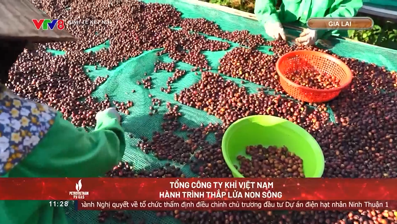 Chương trình “Kinh tế kết nối”