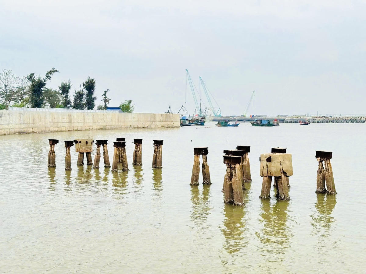 Hạng mục thi công tu bổ bãi cọc, dự kiến hoàn thành 31/3/2026. Ảnh: PT.&nbsp;