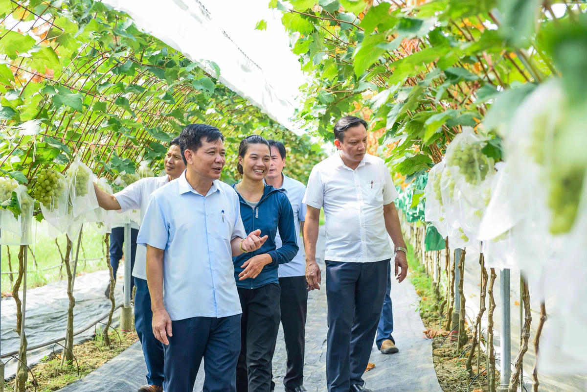 Hệ sinh thái nông nghiệp tại Thanh Hóa ngày càng đa dạng với&nbsp;nhiều mô hình nông nghiệp công nghệ cao. Ảnh: Đình Minh.