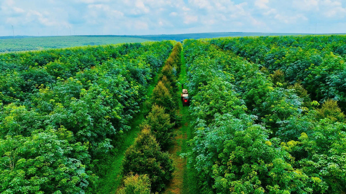 Dakruco: Lấy người lao động làm trung tâm cho hành trình phát triển bền vững