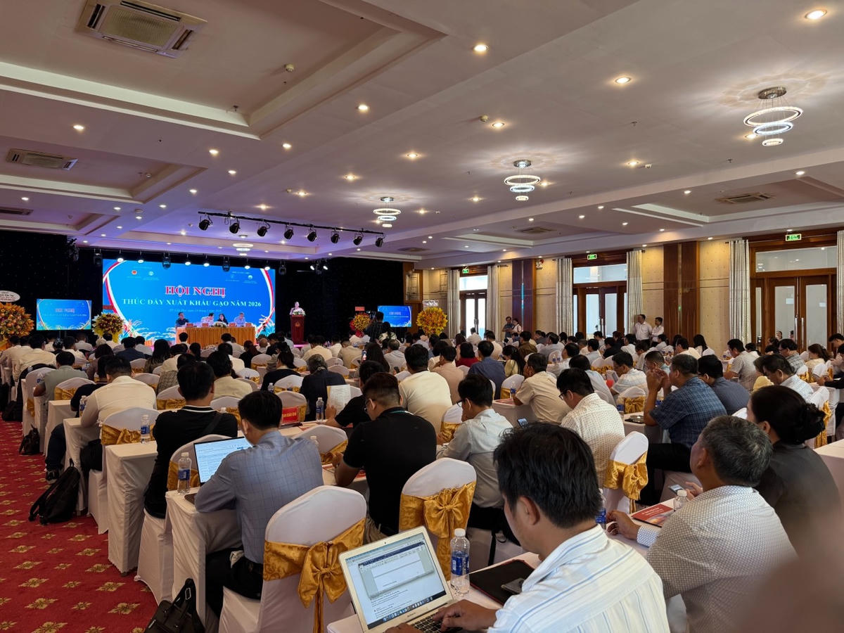 Toàn cảnh hội nghị. Ảnh: BT