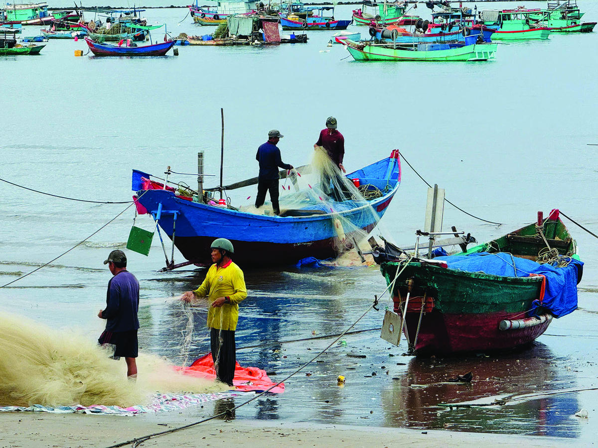 Chùm ảnh của NSNA Phùng Tùng Thiện và NSNA  Hồ Thanh Thoan chụp trên bến lưới bãi Tầm Dương.