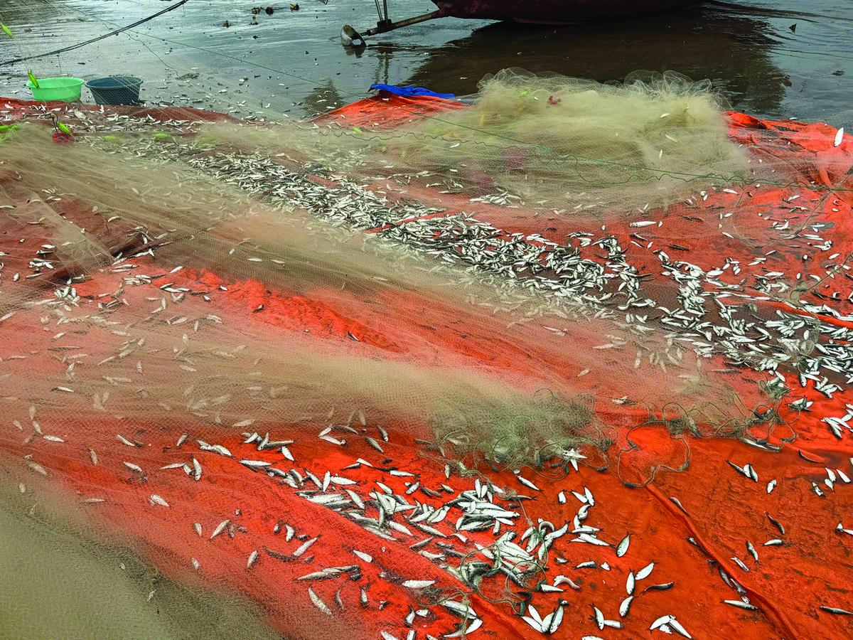 'Bến lưới' trên bãi Tầm Dương