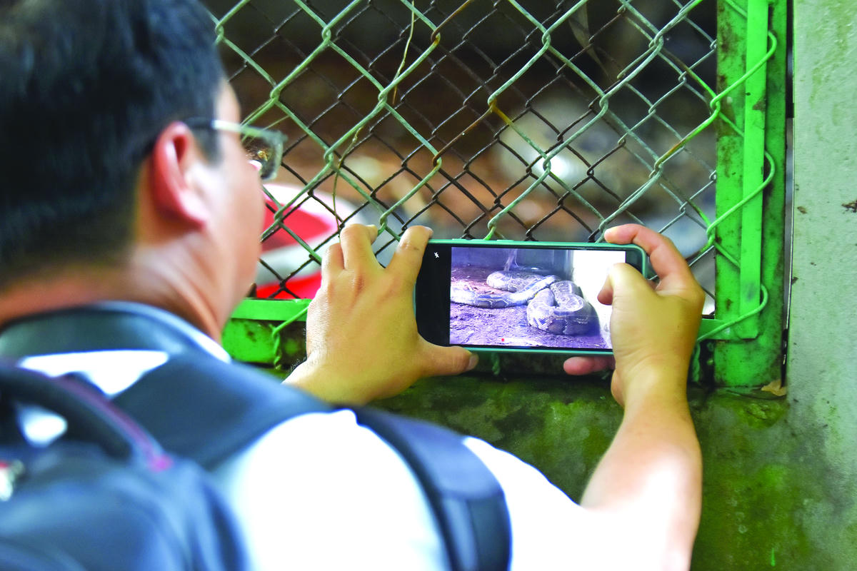 Khách tham quan đến tham quan, tìm hiếu động vật hoang dã tại khu cứu hộ.