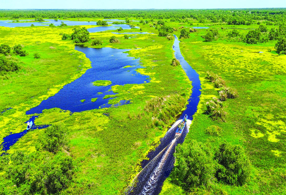 Vườn quốc gia U Minh Thượng là khu Ramsar thứ 8 của Việt Nam - nơi sở hữu hệ sinh thái độc đáo bậc nhất trong khu vực.