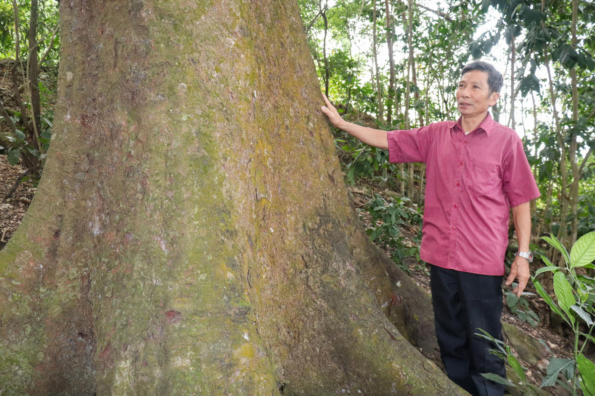 Báu vật sống trên đồi Bích Sơn