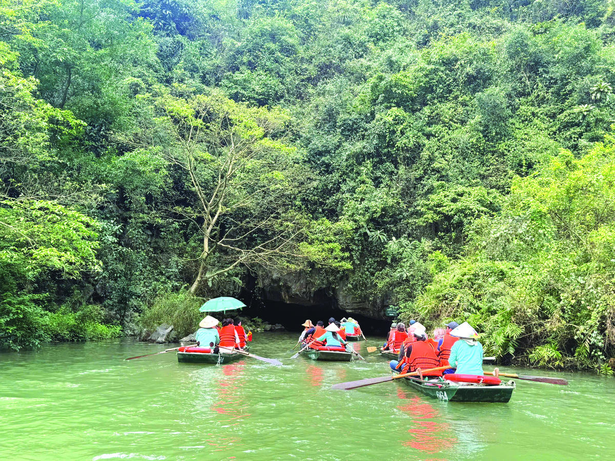 Đường vào hang Đại.