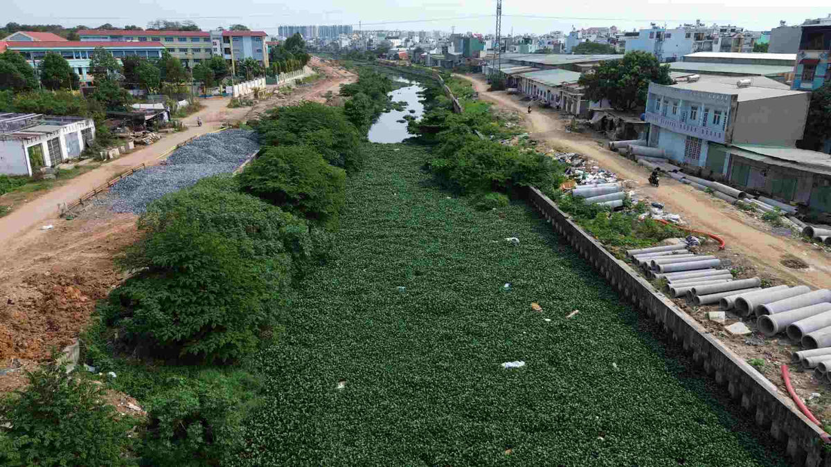 TP Hồ Chí Minh gỡ vướng dự án cải tạo kênh rạch