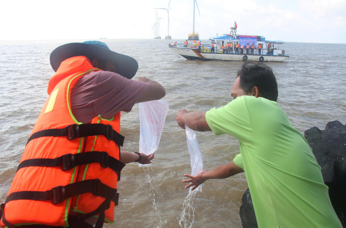 Nhiều doanh nghiệp tham gia thả giống. Ảnh: Nguyên Du