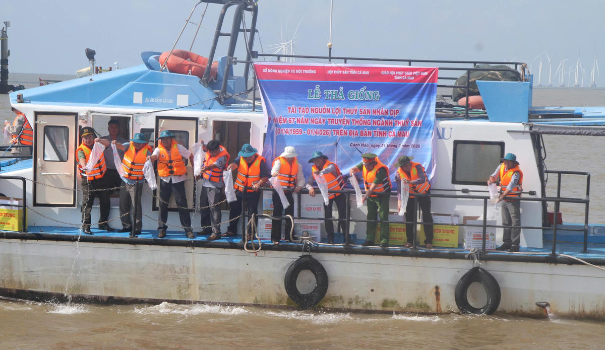 Thả con giống xuống biển tái tạo nguồn lợi thủy sản. Ảnh: Nguyên Du