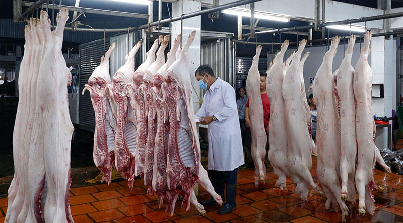 Thủ tướng yêu cầu chấn chỉnh kiểm soát giết mổ trên toàn quốc