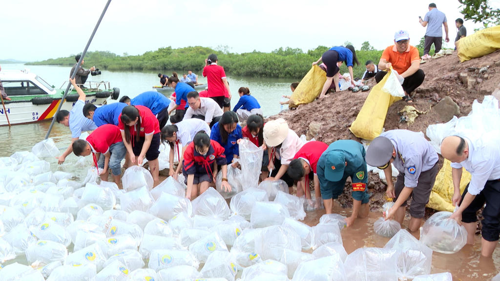 Các đại biểu cùng đông đảo nhân dân tham gia thả con giống tái tạo nguồn lợi thủy sản tại khu vực đất ngập nước Đồng Rui (xã Hải Lạng). Ảnh: QMG.