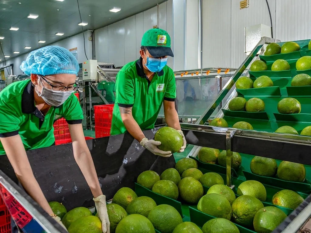 Xuất khẩu nông lâm thủy sản quý I: Nhiều mặt hàng tăng trưởng mạnh