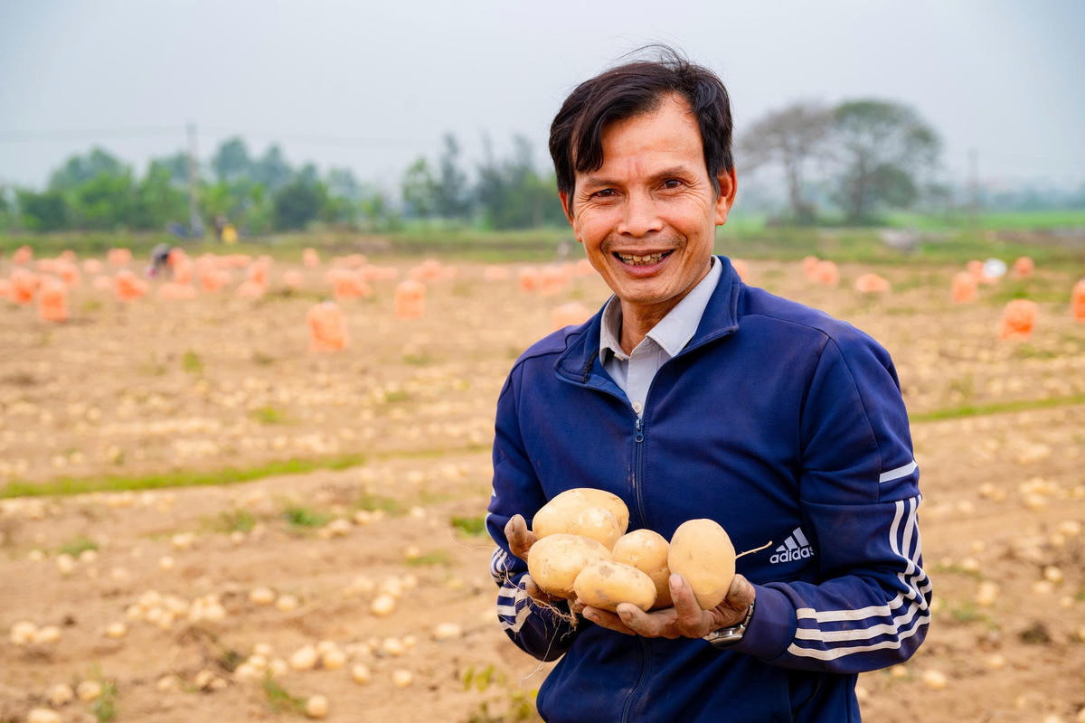 Với 10ha khoai tây, ông Chiến có lãi khoảng hơn 900 triệu đồng. Ảnh: Đình Minh