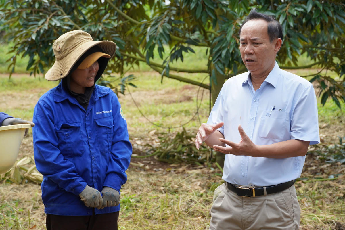 Ông Nguyễn Minh - Tổng Giám đốc DAKRUCO hỏi thăm công nhân chăm sóc sầu riêng tại Dự án Cư Bao. Lưu ý ảnh 4 đặt làm ảnh đại diện.