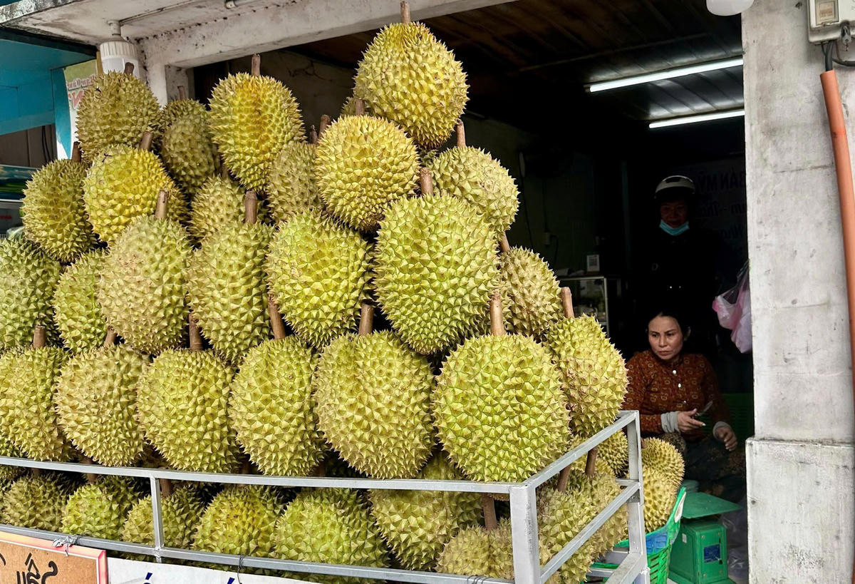 Sầu riêng được bày bán tại chợ ở Đồng Tháp. (Ảnh: Trung Ngãi).