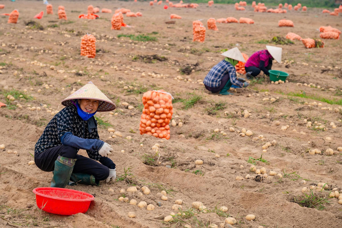 Mô hình của ông Chiến tạo việc làm cho nhiều lao động địa phương. Ảnh: Đình Minh