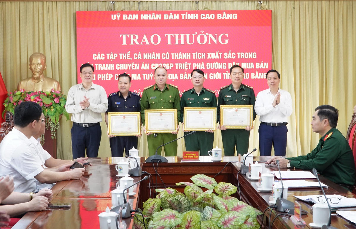 Trao bằng khen cho các tập thể và cá nhân xuất sắc.