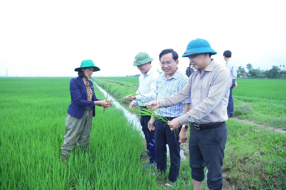 Địa phương luôn chủ động kiến tạo các bước phát triển mới. Ảnh: CH.