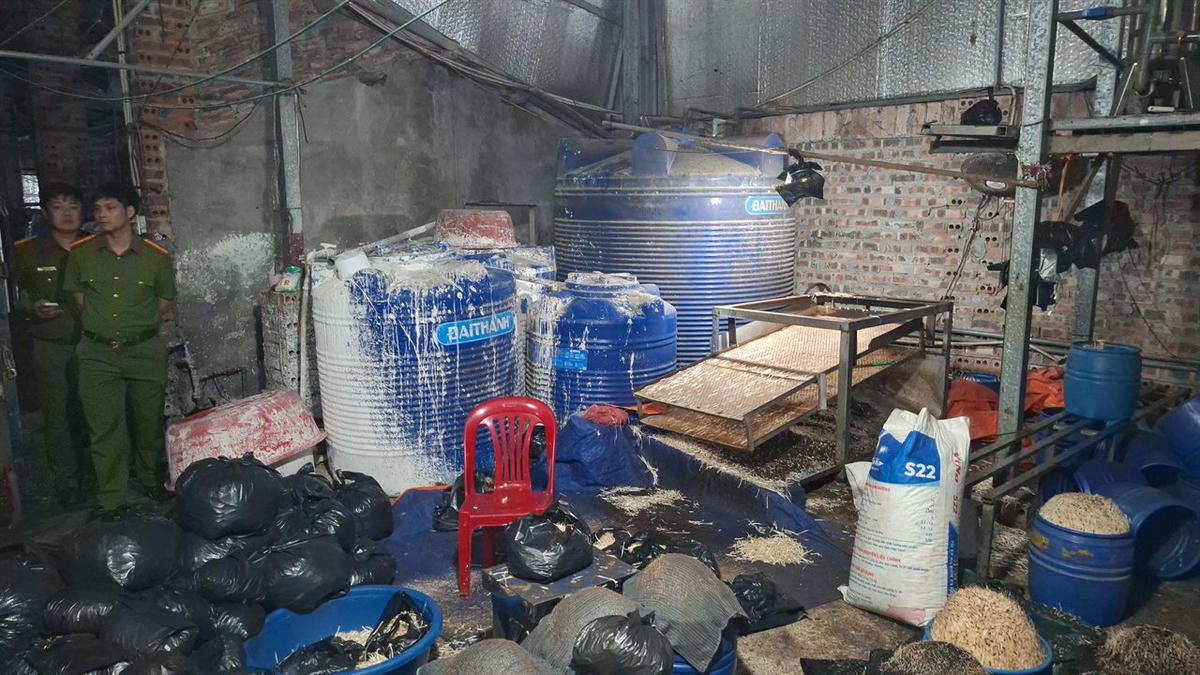 Từ tháng 1/2024 đến tháng 3/2026, cơ sở của Hòa đã sản xuất khoảng&nbsp;510&nbsp;tấn giá đỗ có sử dụng chất độc hại tiêu thụ ra ngoài thị trường. Ảnh: Thiên Bình.