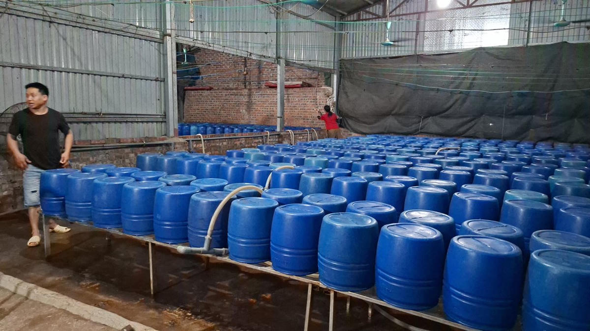 Việc sử dụng chất này có thể gây ra những hậu quả nghiêm trọng đến sức khỏe người tiêu dùng, bao gồm tổn thương gan, thận, phổi và nguy cơ dẫn đến tử vong nếu tiếp xúc lâu dài. Ảnh: Thiên Bình.