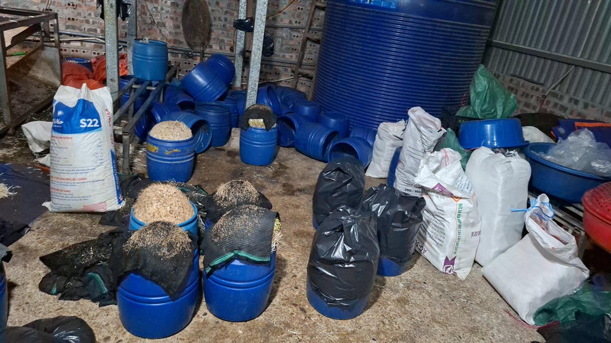 Kết quả giám định của Viện Khoa học hình sự Bộ Công an xác định toàn bộ số giá đỗ trên đều có chứa chất 6-Benzylaminopurine (6-BAP). Ảnh: Thiên Bình.