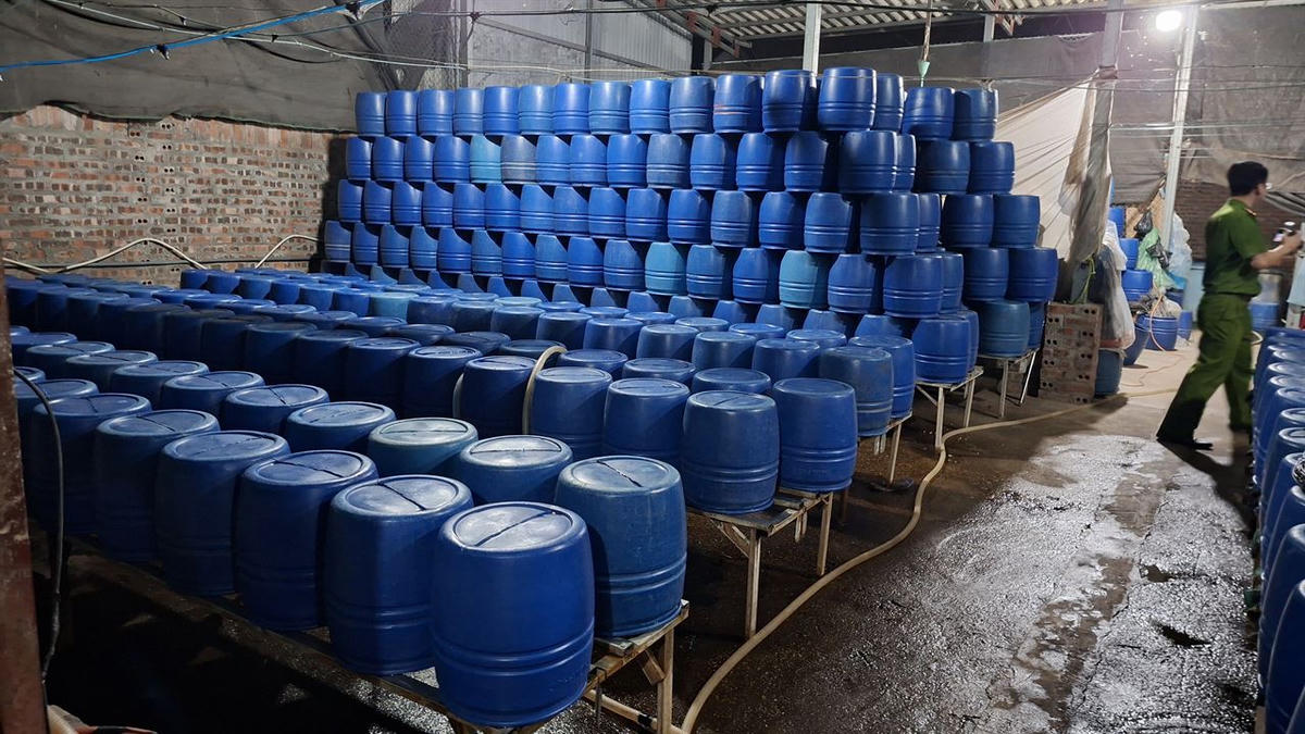 Tại Cơ quan điều tra, Hòa khai nhận trung bình mỗi ngày, đối tượng sản xuất từ&nbsp;700 kg đến trên 1 tấn&nbsp;giá đỗ có chứa chất độc hại 6-BAP, cung cấp chủ yếu ra các chợ đầu mối tại khu vực Vĩnh Phúc, xã Sơn Tây (Hà Nội) và một phần tại tỉnh Lào Cai. Ảnh: Thiên Bình.