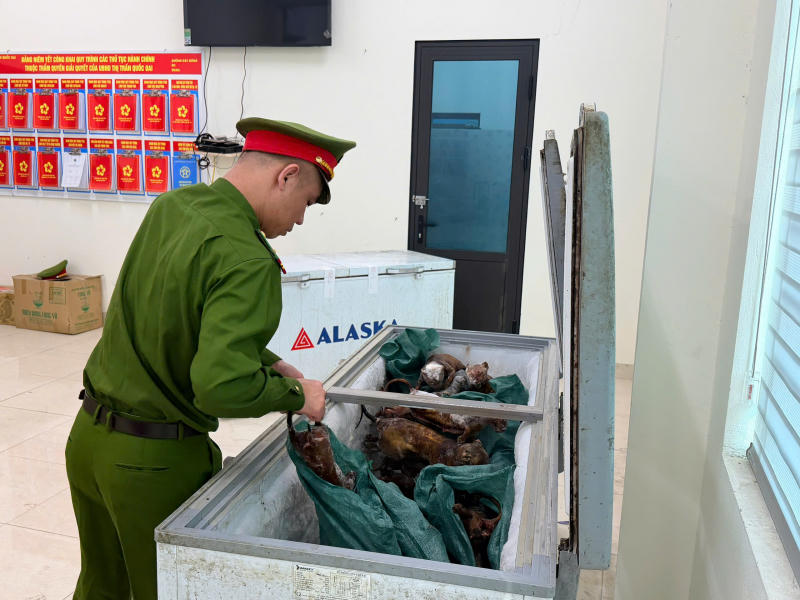 Tang vật vụ án bị lực lượng công an thu giữ.