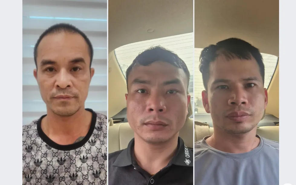 Triệt phá đường dây trộm cắp hơn 300 con mèo tại Hà Nội