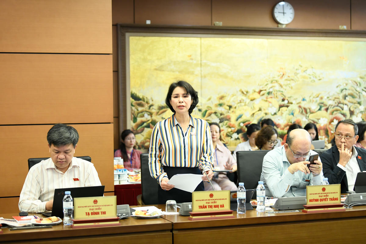 Bà Trần Thị Nhị Hà phát biểu (Ảnh: Quang Vinh)