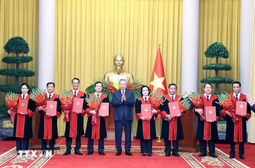 Tổng Bí thư, Chủ tịch nước Tô Lâm trao Quyết định bổ nhiệm chức danh Thẩm phán Toà án Nhân dân Tối cao cho các thẩm phán. (Ảnh: Thống Nhất/TTXVN).