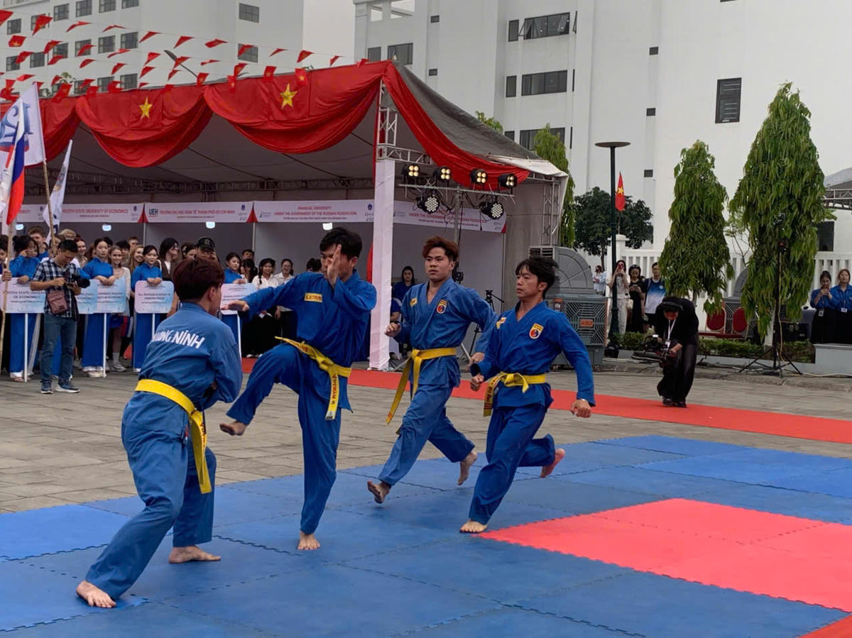 Đồng diễn võ thuật Vovinam.