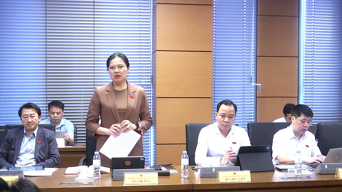 Đại biểu Hà Thị Nga, Đoàn ĐBQH tỉnh Lai Châu phát biểu.&nbsp;