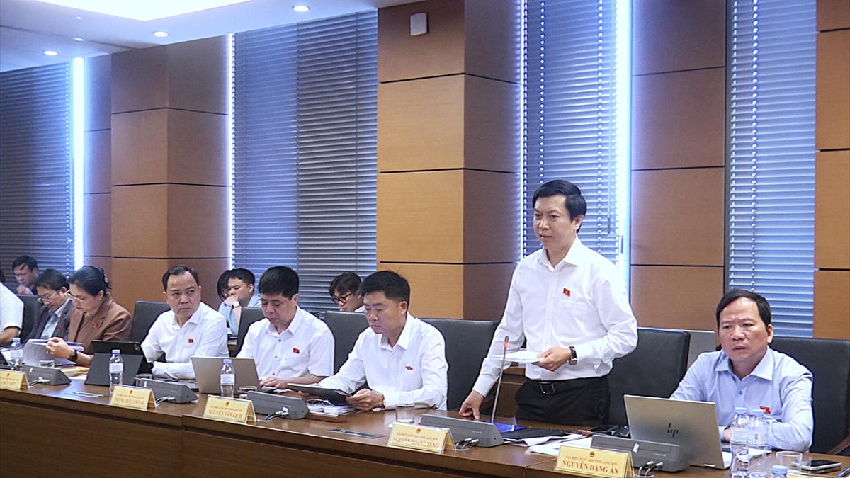 Đại biểu Nguyễn Hoàng Tùng, Đoàn ĐBQH tỉnh Lạng Sơn phát biểu.