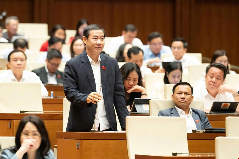 Thường xuyên sàng lọc đội ngũ trợ giúp viên pháp lý không có hoạt động mang tính chuyên nghiệp