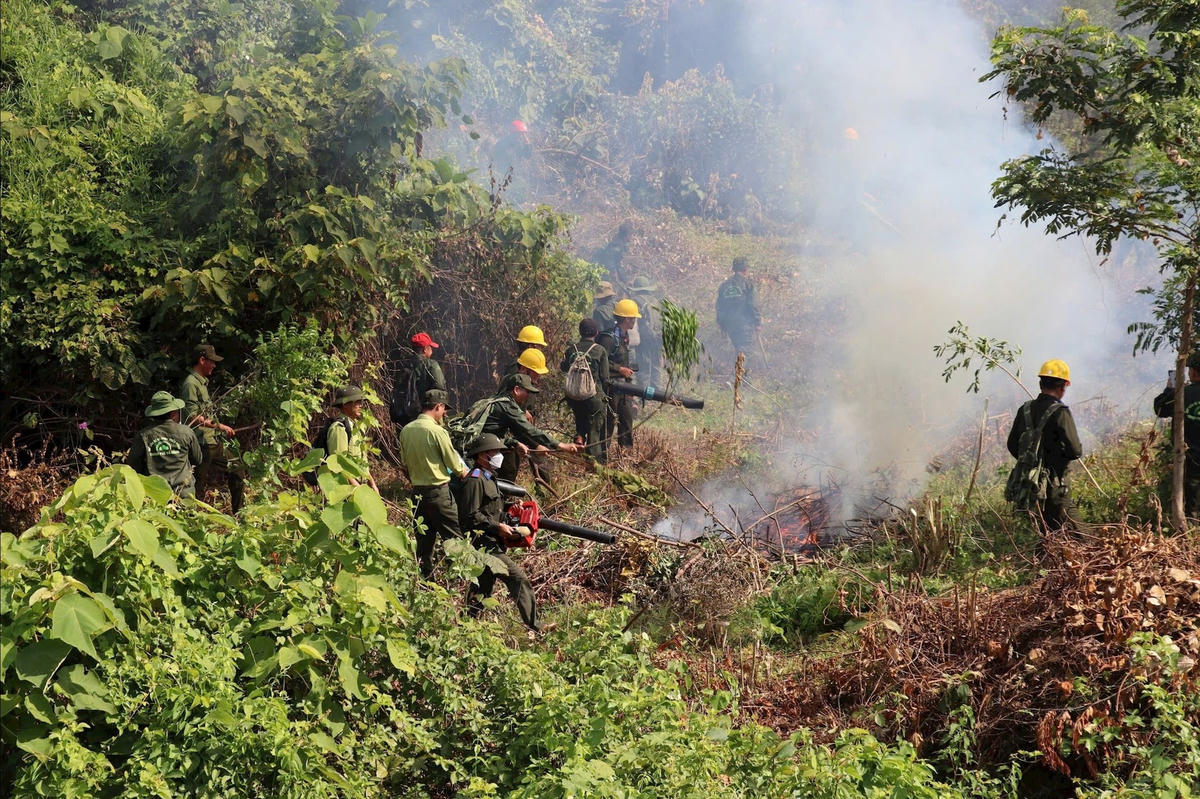 Lực lượng kiểm lâm Đà Nẵng dập tắt một vụ cháy rừng trên địa bàn. Ảnh: CV.