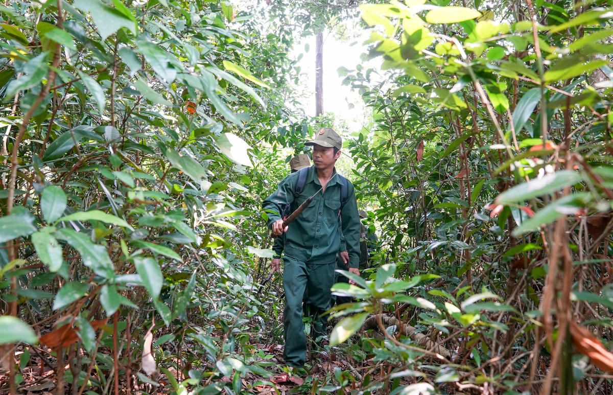 Tổ bảo vệ rừng của BQL rừng phòng hộ Đà Nẵng tuần tra, bảo vệ rừng. Ảnh: CV.