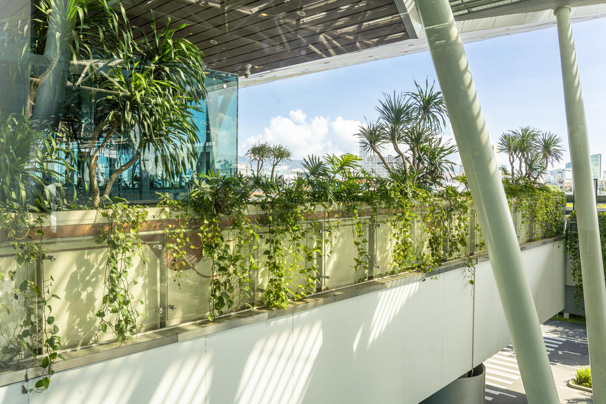 Nhà ga quốc tế sân bay Đà Nẵng 3 năm liên tiếp đạt 5 sao Skytrax