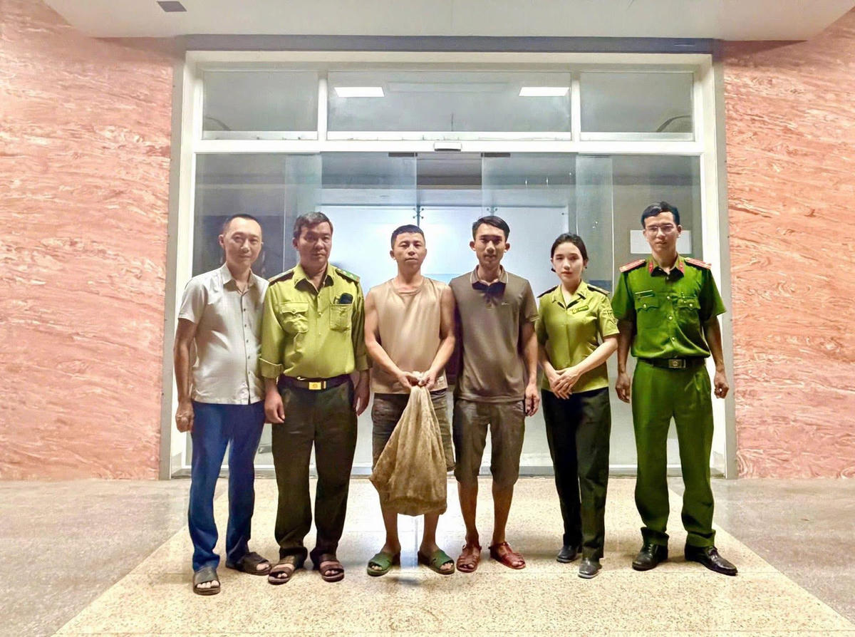 Quảng Trị: Tiếp nhận 2 cá thể tê tê quý hiếm từ người dân