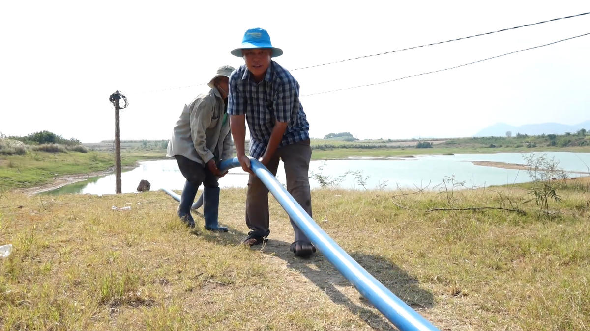 Nông dân Sơn Hòa kéo ống bơm nước cứu cây trồng. Ảnh: Lê Biết.