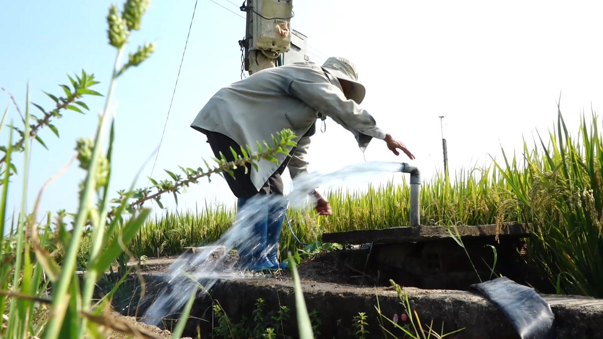 Nông dân Sơn Hòa bơm nước từ giếng khoan để cứu lúa Đông Xuân. Ảnh: Lê Biết.