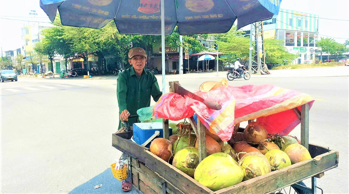 Một người đẩy xe bán nước dừa trên đường Phan Chu Trinh, phường Tam Kỳ. Ảnh: Tấn Thành.