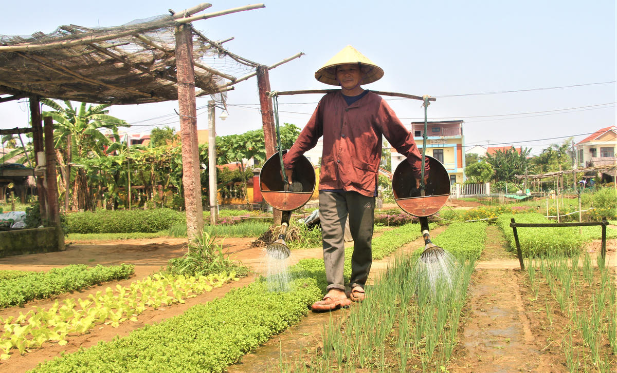 Người dân tưới nước cho rau cỏ trong điều kiện thời tiết nắng nóng. Ảnh: Chí Đại.